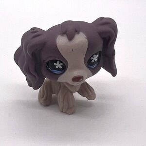 Hasbro Littlest Pet Shop Cocker Spaniel 672 Flower Eyes Authentic LPS